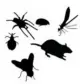 Providing Pest Control Contracts across the South West